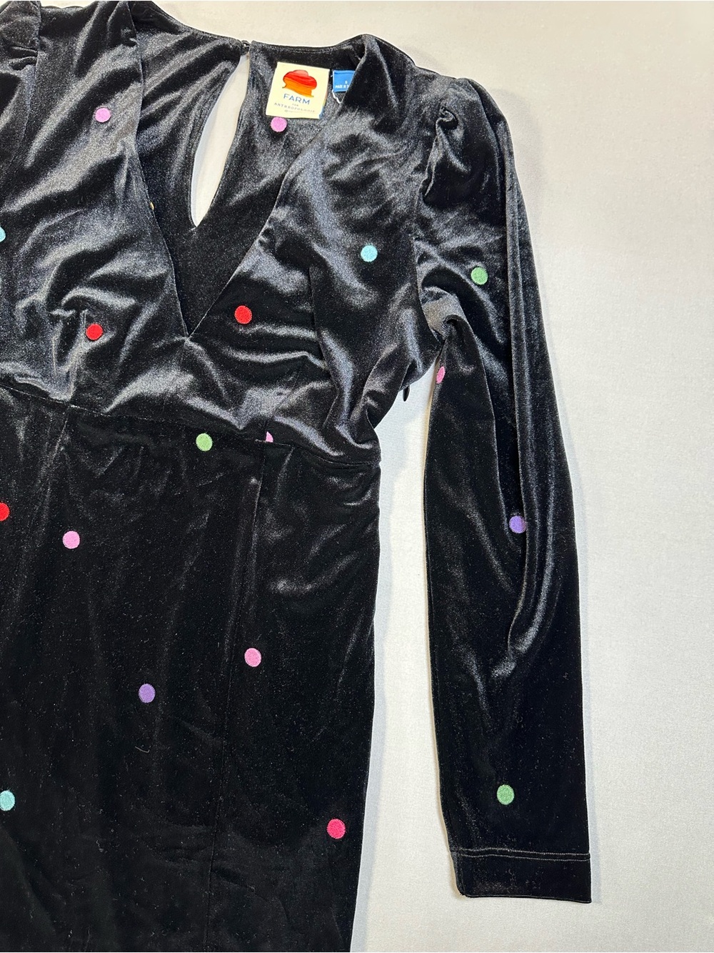 NWT Farm Rio Anthropologie Farm Rio Embroidered Velvet Mini Dress - Womens Small - Picture 8 of 16